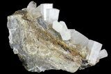 Columnar Calcite Crystal Cluster - China #164003-1